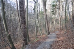 DSCN0412