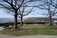 DSCN0415
