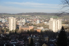 DSCN0431