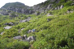 DSCN1268