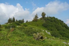 DSCN1272